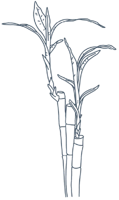 Decorative element